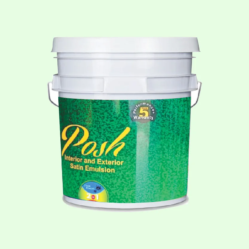 https://www.dreamwallspaints.com/interior-exterior-emulsions/